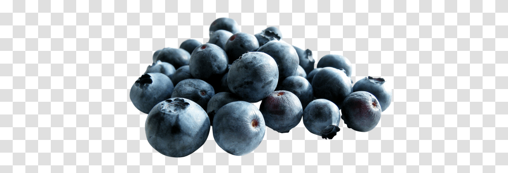 Free Premium Blueberry Stock Photos, Plant, Fruit, Food, Grapes Transparent Png