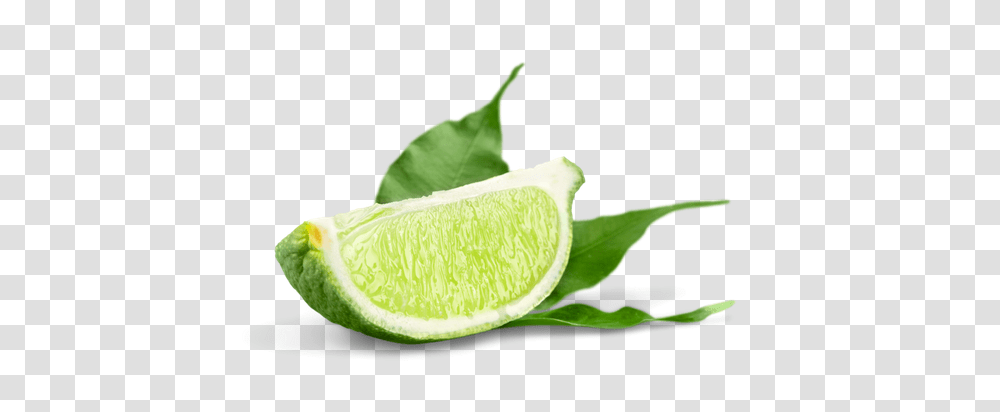 Free Premium Stock Photos, Citrus Fruit, Plant, Food, Lime Transparent Png