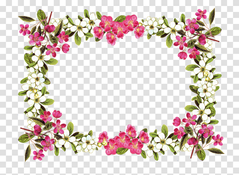 Free Printable Clip Art Borders Free Digital Flower Frame, Plant, Floral Design, Pattern Transparent Png