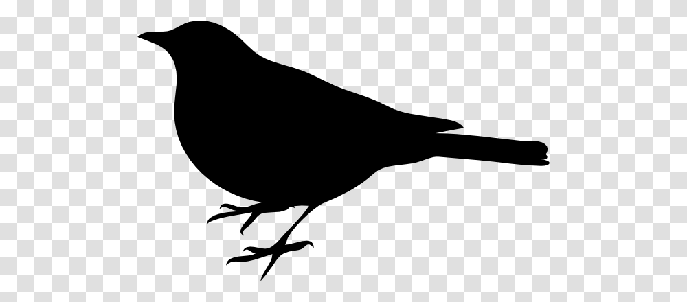 Free Printable Clip Art Of Birds Download Them Or Print, Blackbird, Animal, Agelaius, Silhouette Transparent Png