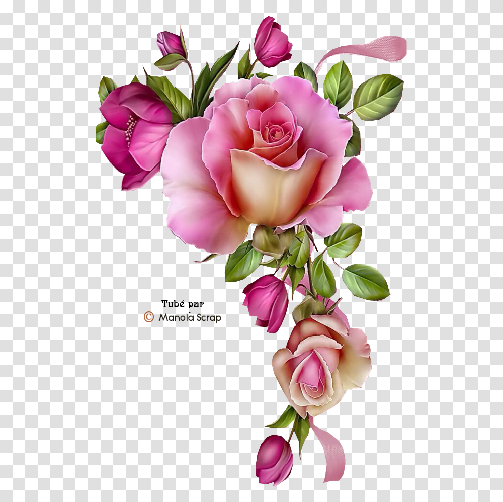 Free Printable Decoupage Flowers, Rose, Plant, Blossom, Petal Transparent Png