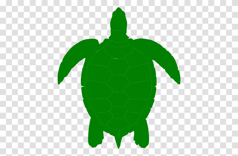 Free Printable Turtles Coloring, Silhouette, Person, Animal, Water Transparent Png