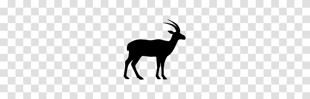 Free Printables, Antelope, Wildlife, Mammal, Animal Transparent Png