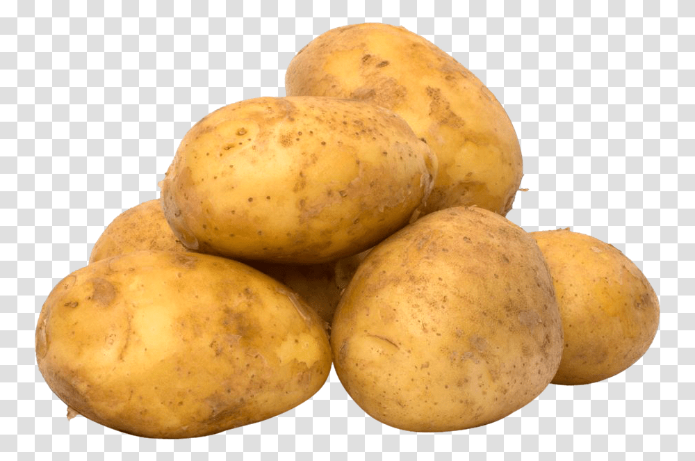 Free Psd And Downloads Do Poisonous Potatoes Look Like, Plant, Vegetable, Food, Fruit Transparent Png
