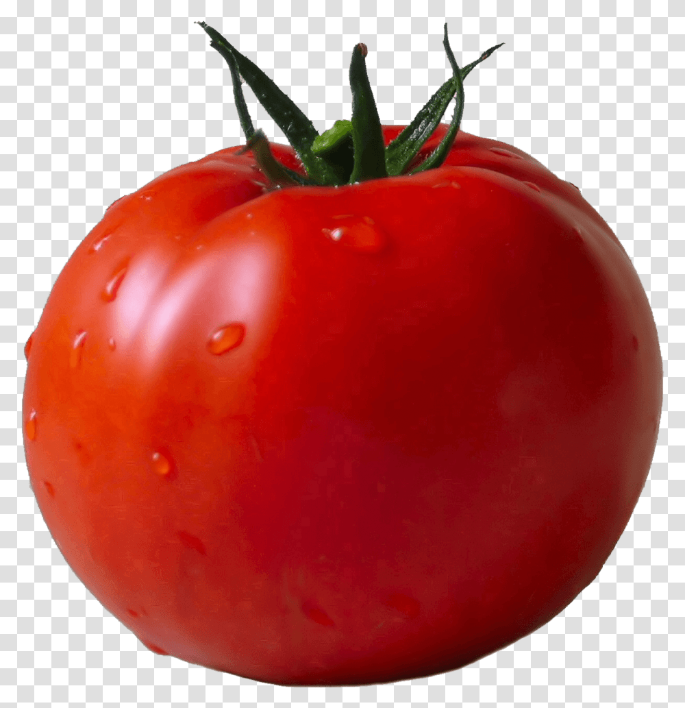 Free Psd And Downloads Tomato, Plant, Vegetable, Food Transparent Png