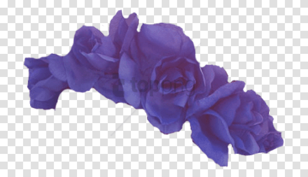 Free Purple Flower Crown Purple Flower Crown, Plant, Blossom, Rose, Geranium Transparent Png