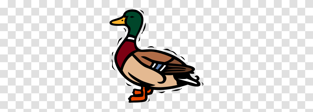 Free R Clipart R Icons, Waterfowl, Bird, Animal, Duck Transparent Png