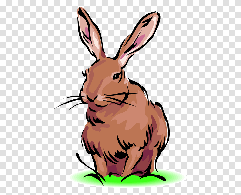 Free Rabbit Clipart, Mammal, Animal, Wildlife, Deer Transparent Png