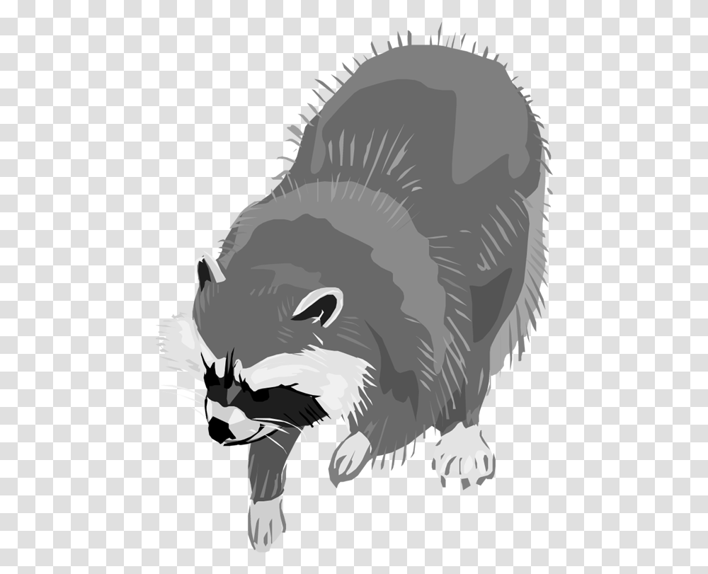 Free Raccoon Clipart 8 Racoon Clipart Background, Animal, Mammal, Beaver, Wildlife Transparent Png
