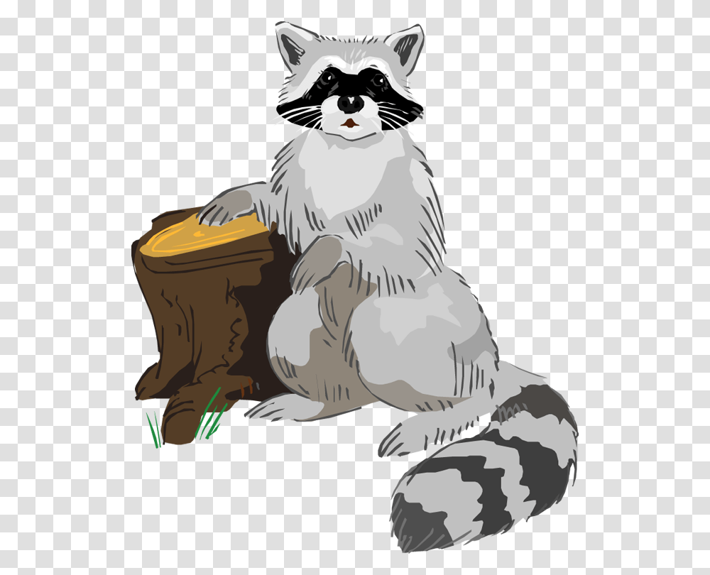 Free Raccoon Hd Image Clipart Clip Art, Indoors, Pet, Animal, Room Transparent Png