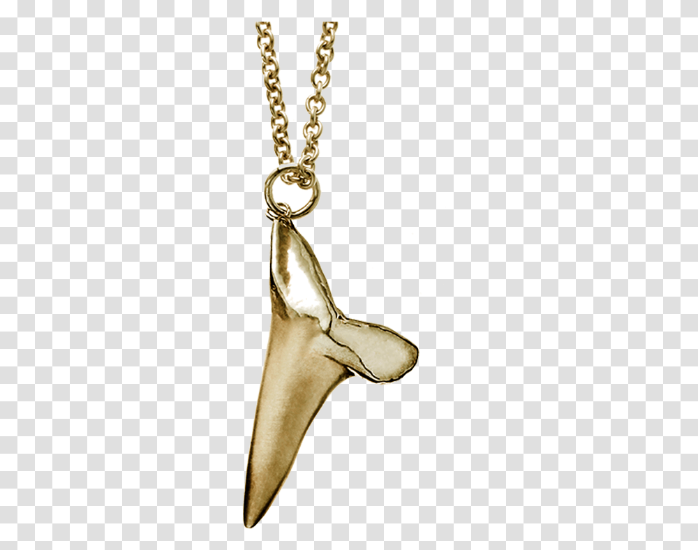 Free Rapper Gold Chain Shark Tooth Necklace Full Shark Necklace, Clothing, Apparel, Animal Transparent Png