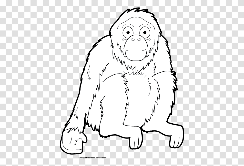 Free Ready For Personal, Ape, Wildlife, Mammal, Animal Transparent Png