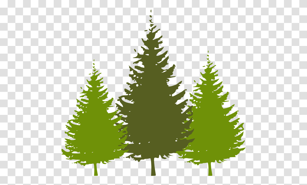 Free Redwood Tree Download Redwood Trees Clip Art, Plant, Fir, Abies, Pine Transparent Png