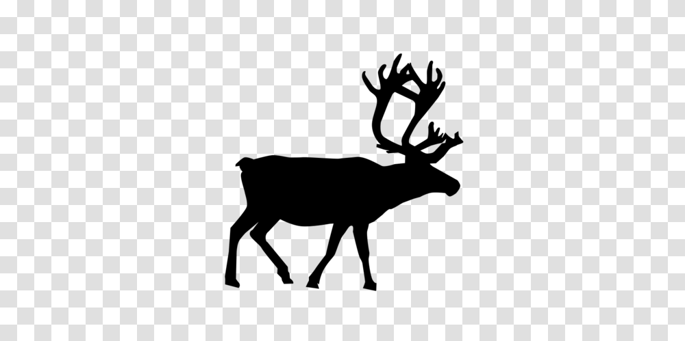 Free Reindeer Silhouette Clipart And Vector Graphics, Gray, World Of Warcraft Transparent Png