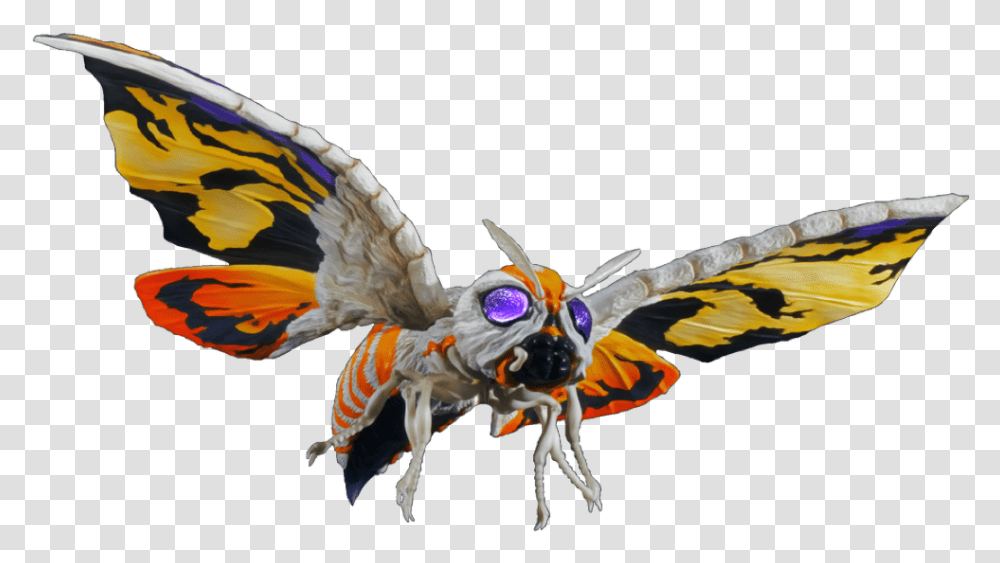 Free Render For Use Gmk Mothra, Wasp, Bee, Insect, Invertebrate Transparent Png