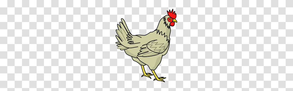 Free Rooster And Chicken Clip Art From The Farm, Poultry, Fowl, Bird, Animal Transparent Png