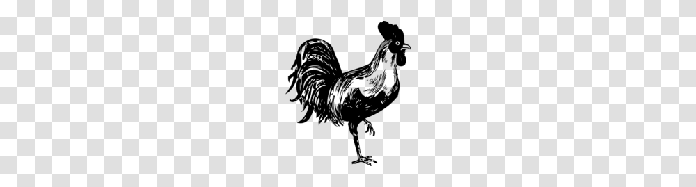 Free Rooster Clipart And Vector Graphics, Gray, World Of Warcraft Transparent Png