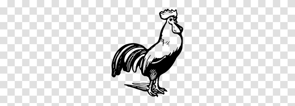 Free Rooster Vector, Gray, World Of Warcraft Transparent Png