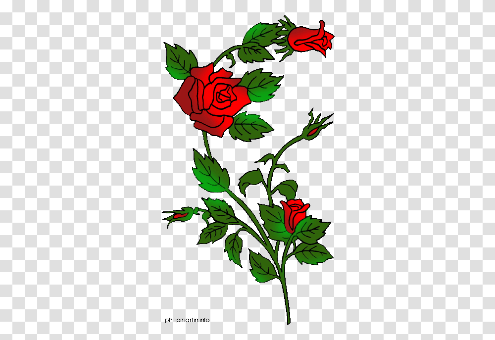 Free Rose Bush Download Clip Art Flower Rose Embroidery Designs, Plant, Blossom Transparent Png