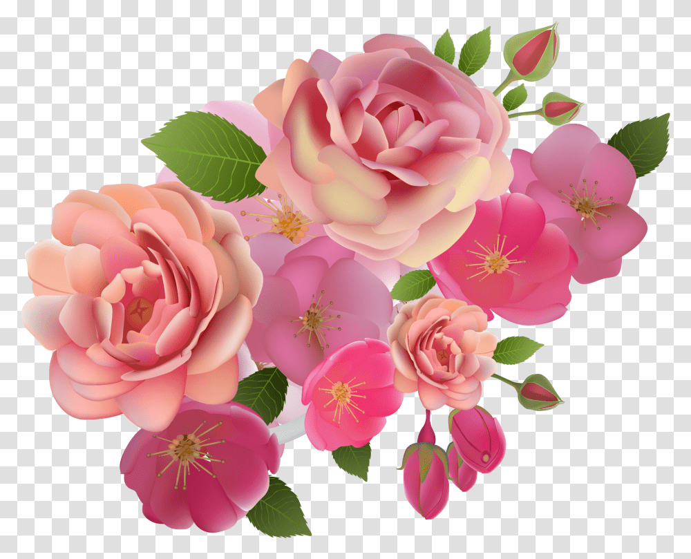 Free Rose Floribunda, Plant, Flower, Blossom, Petal Transparent Png