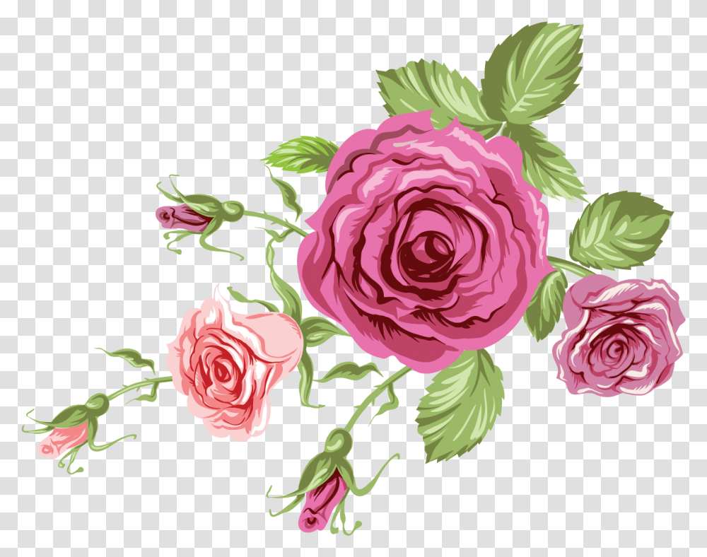 Free Rose Konfest Floribunda, Flower, Plant, Blossom, Graphics Transparent Png