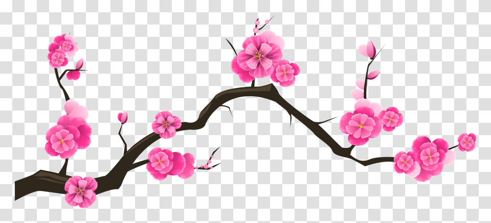 Free Rustic Flower Clipart Free Cherry Blossom Cherry Blossom Branch, Plant, Hibiscus, Geranium Transparent Png