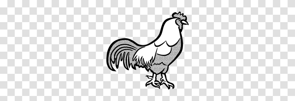 Free School Bus Clip Art Black White, Fowl, Bird, Animal, Poultry Transparent Png