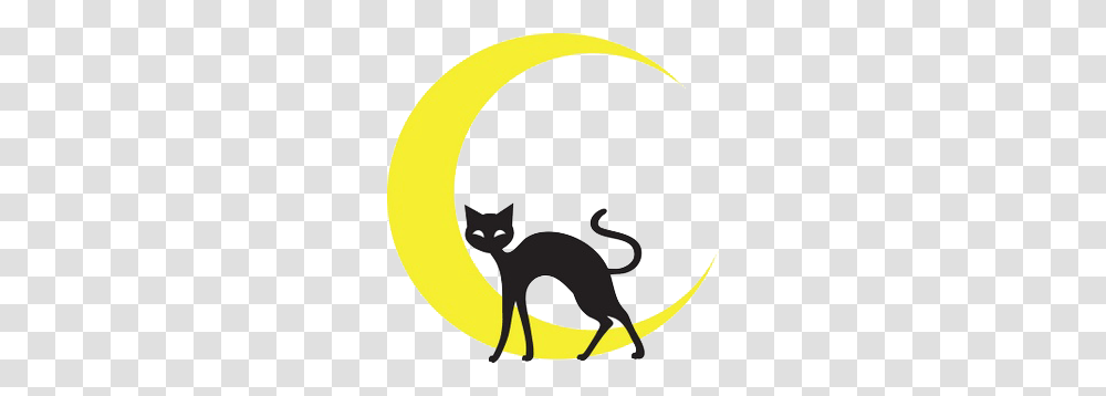 Free School Of Wicca Magick Paganism And Wiccan Crafts, Cat, Pet, Mammal, Animal Transparent Png