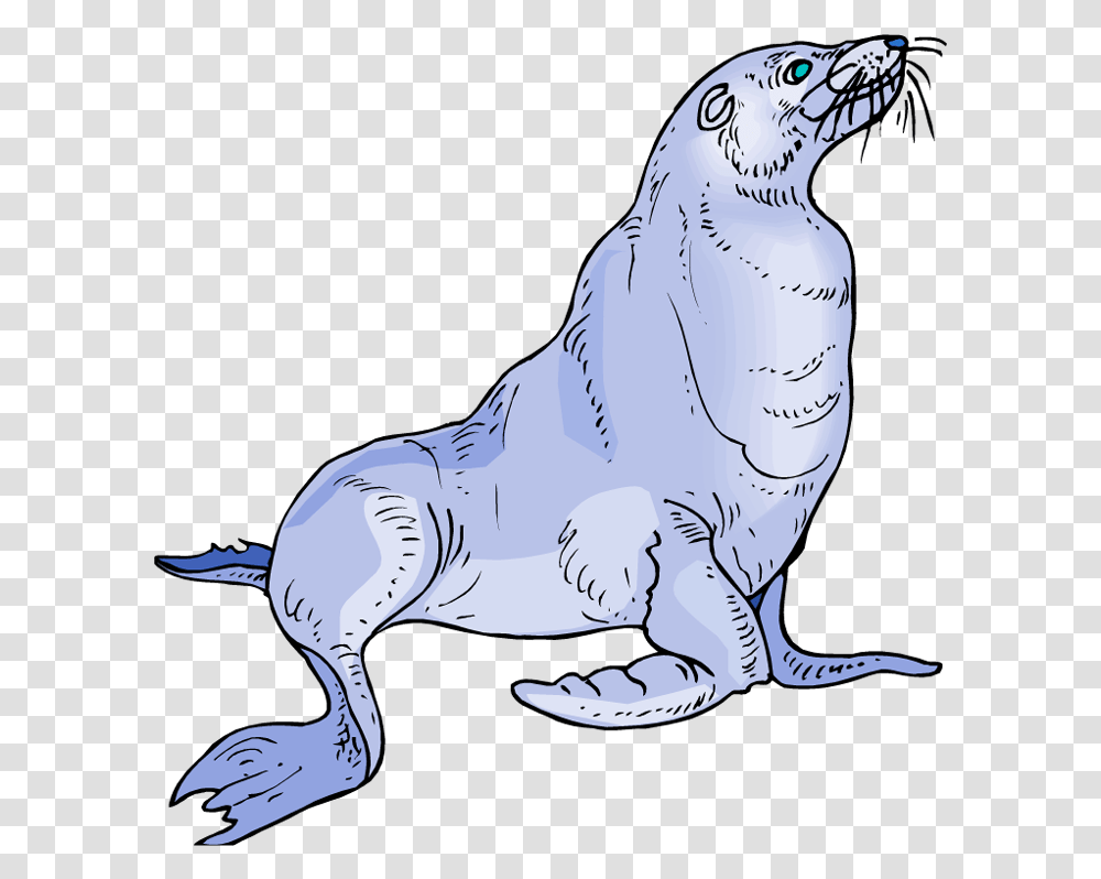 Free Sea Lion Clipart Sea Lion Clipart, Mammal, Animal, Sea Life, Seal Transparent Png