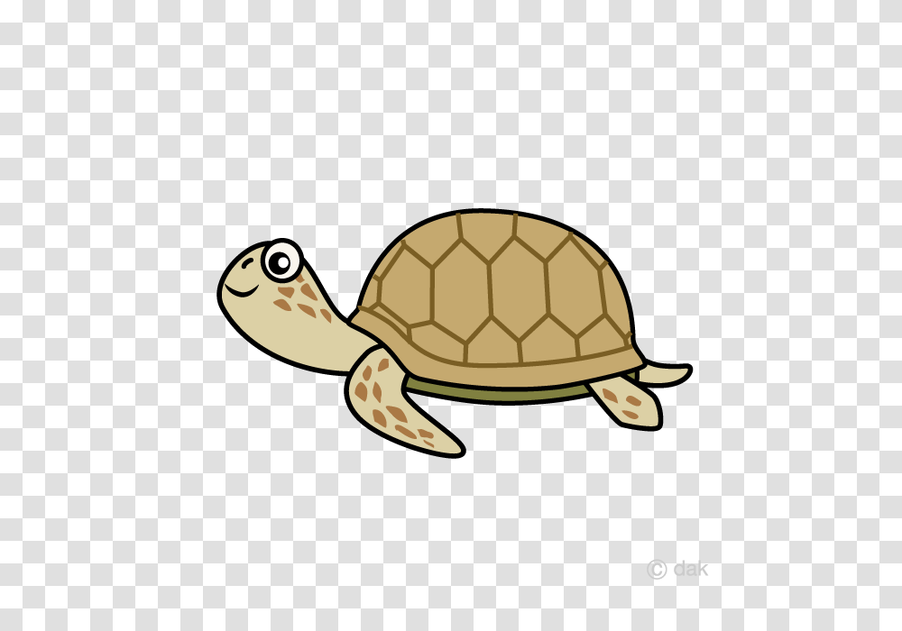 Free Sea Turtle Cartoon Clipart Graphics, Reptile, Sea Life, Animal, Tortoise Transparent Png