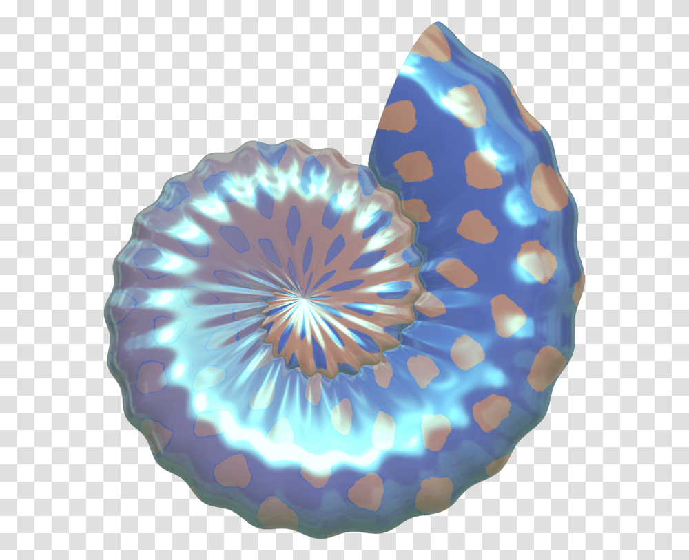 Free Seashell Cliparts The Cliparts Sea Shells Background, Ornament, Pattern, Birthday Cake, Dessert Transparent Png