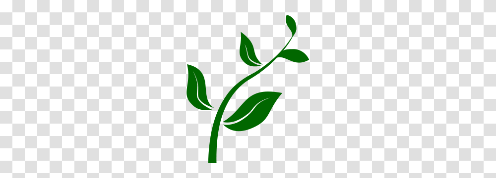 Free Seed Clipart Seed Icons, Green, Leaf, Plant Transparent Png