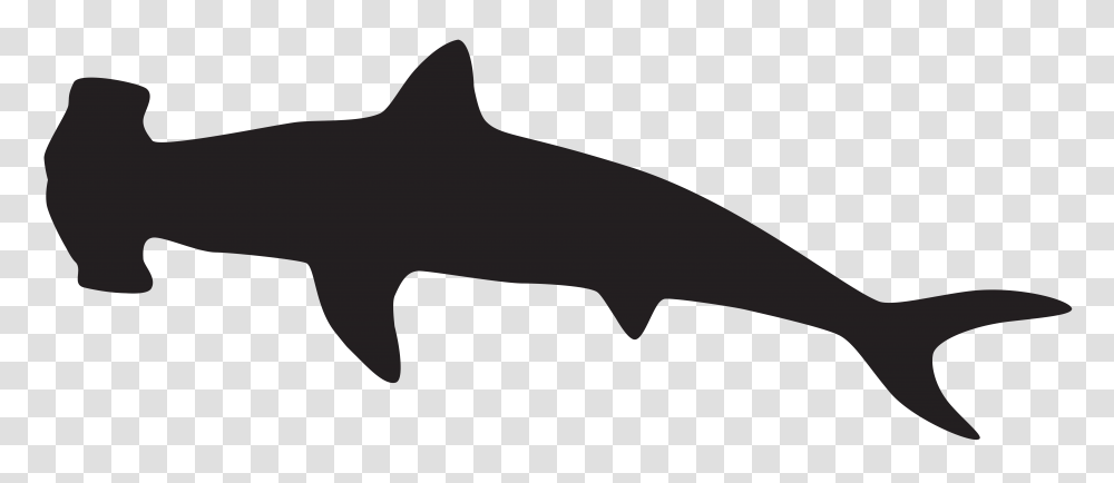 Free Shark Clipart Animal, Label, Face, Logo Transparent Png