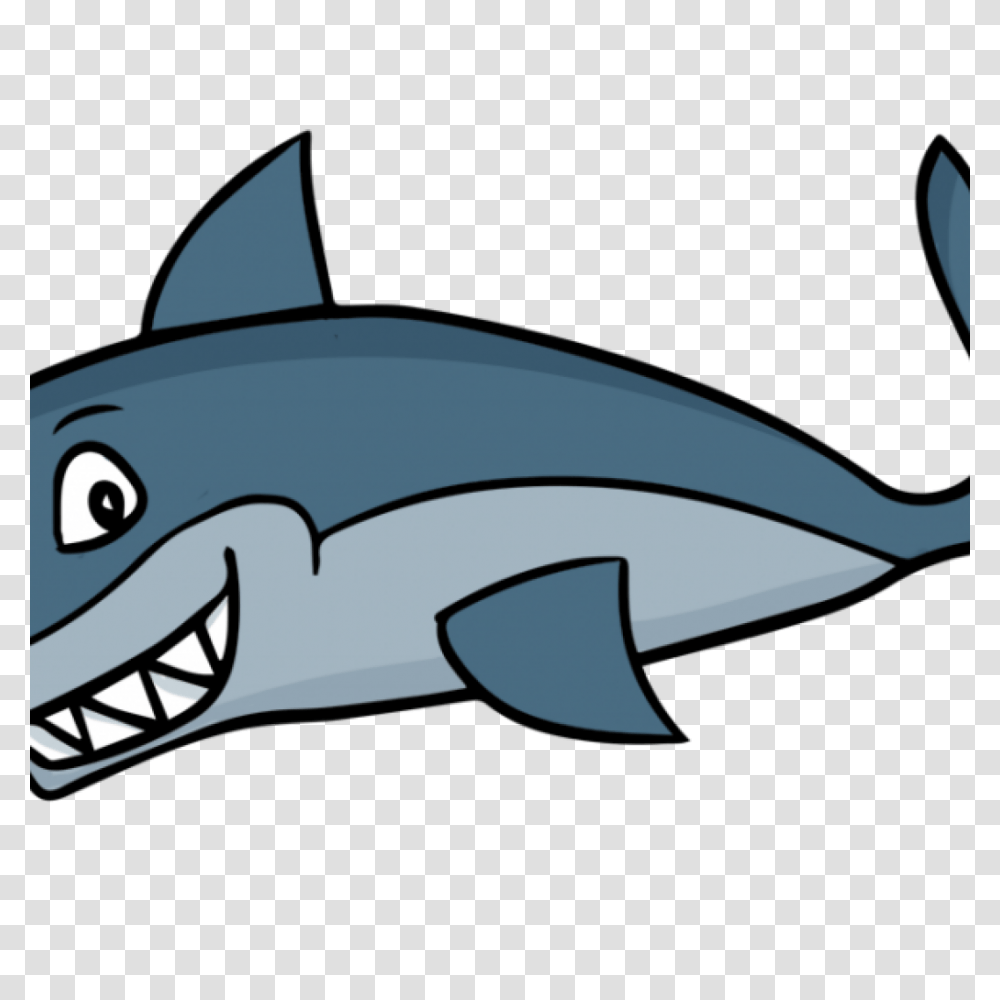 Free Shark Clipart Free Clipart Download, Sea Life, Animal, Fish, Sunglasses Transparent Png