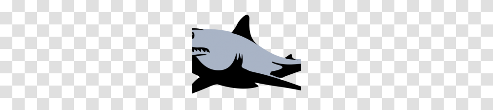 Free Shark Clipart Shark Clip Art Images, Sea Life, Animal, Outdoors, Mammal Transparent Png