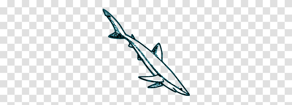 Free Shark Clipart Shark Icons, Bow, Animal, Invertebrate, Insect Transparent Png