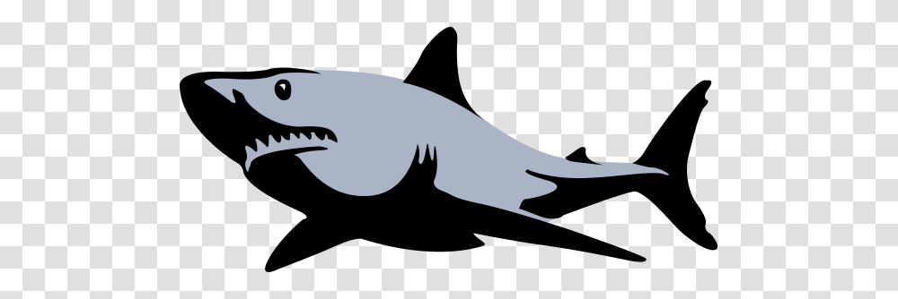 Free Shark Cliparts, Fish, Animal, Amphibian, Wildlife Transparent Png