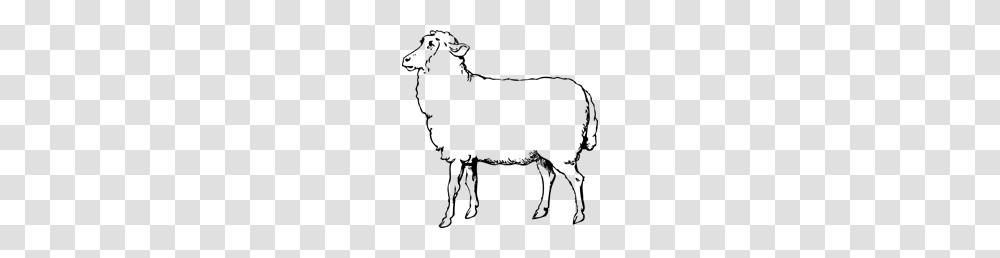 Free Sheep Clipart Sheep Icons, Gray, World Of Warcraft Transparent Png
