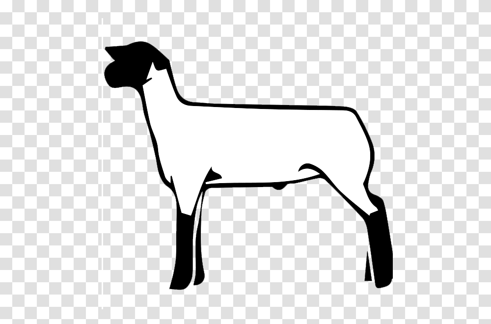 Free Show Lamb Clip Art Sheep Graphics Clublamb Images, Animal, Mammal, Axe, Tool Transparent Png
