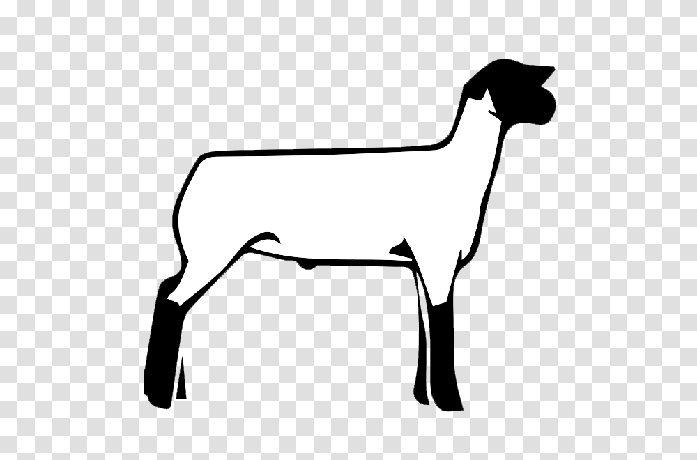 Free Show Lamb Clip Art Sheep Graphics Clublamb Images, Axe, Tool, Animal, Mammal Transparent Png