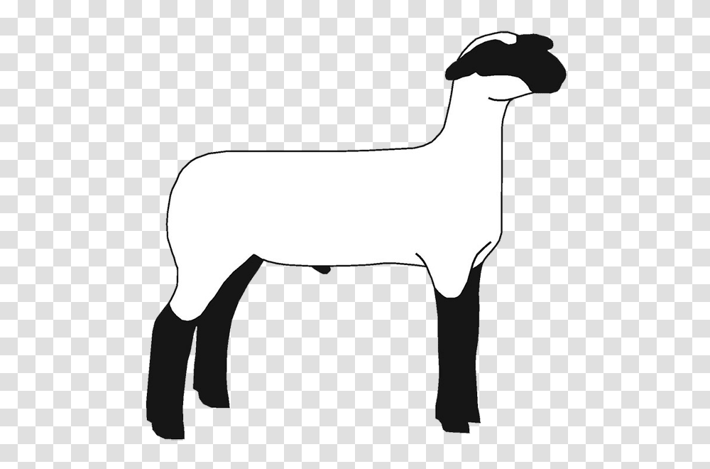 Free Show Lamb Clip Art Sheep Graphics Clublamb Images, Mammal, Animal, Hammer, Tool Transparent Png