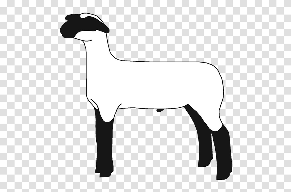Free Show Lamb Clip Art Sheep Graphics Clublamb Images, Mammal, Animal, Label Transparent Png