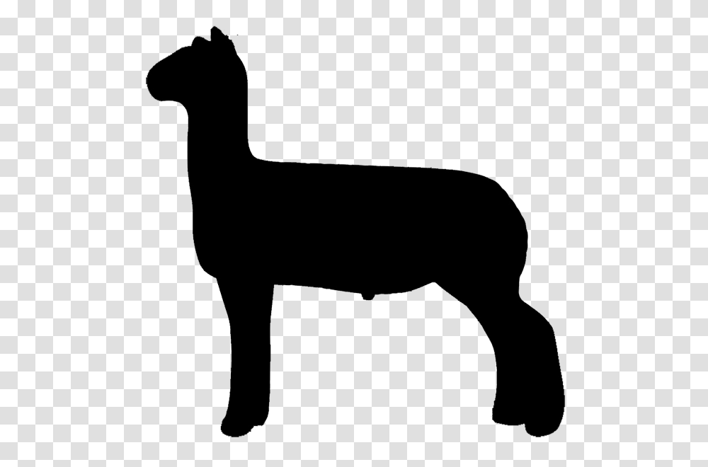 Free Show Lamb Clip Art Sheep Graphics Clublamb Images, Silhouette, Animal, Mammal, Wildlife Transparent Png