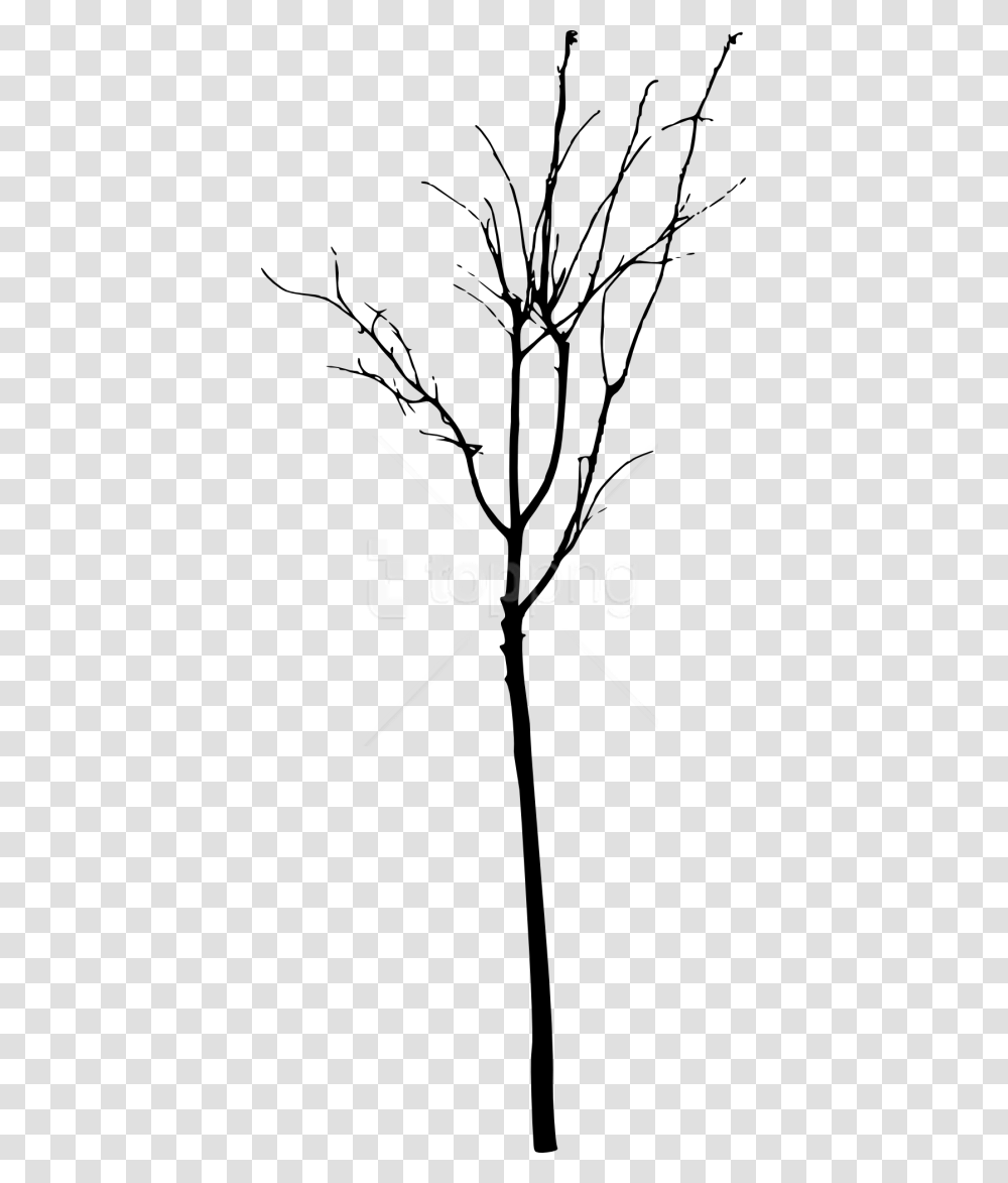 Free Simple Bare Tree Silhouette Free Images Simple Bare Tree Silhouette, Plant, Flower, Blossom, Stencil Transparent Png
