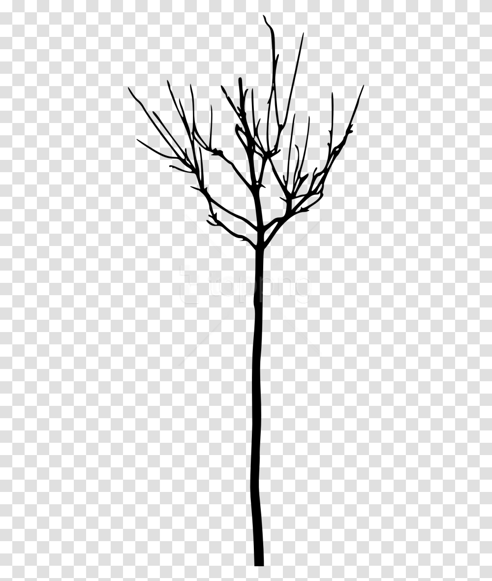 Free Simple Bare Tree Silhouette Images Tree, Plant, Flower, Blossom, Pineapple Transparent Png