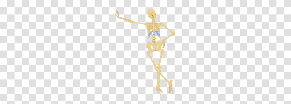 Free Skeleton Clipart Skeleton Icons, Cross Transparent Png