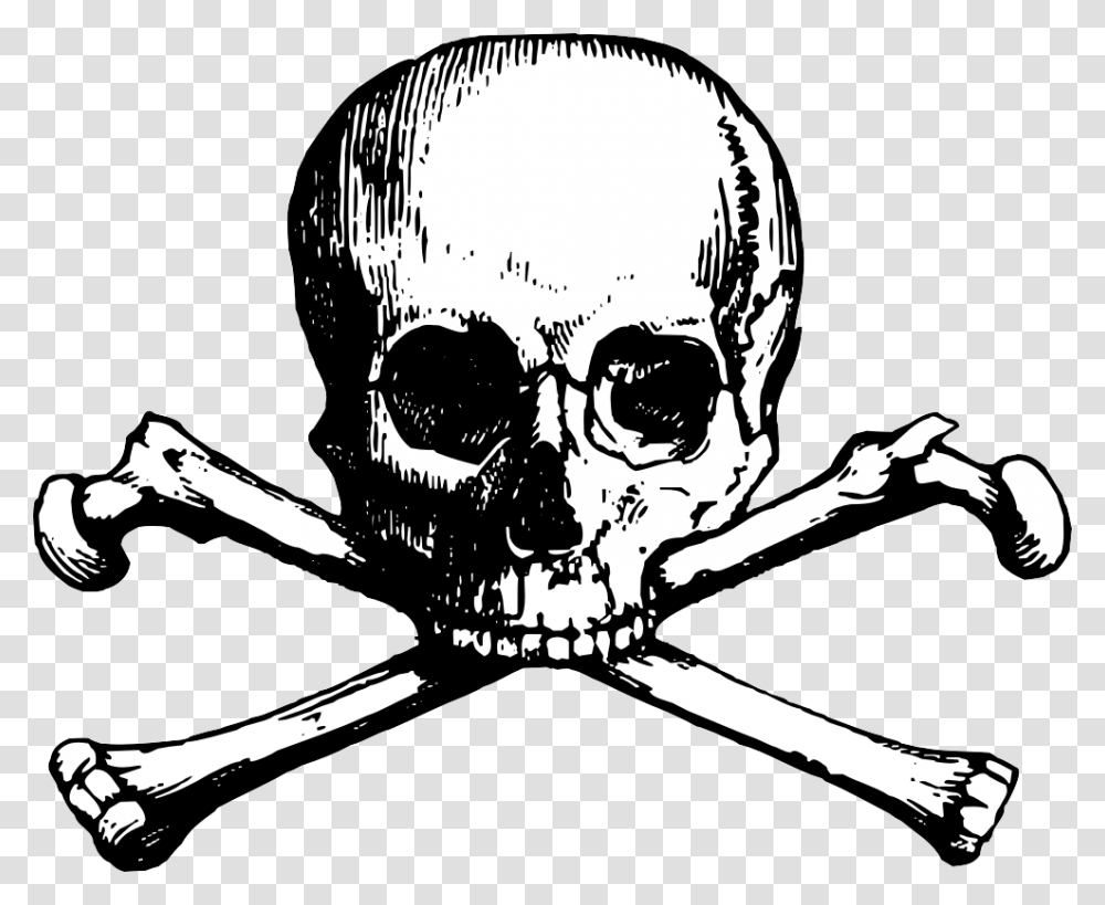 Free Skull Clipart Skull N Bones, Jaw, Sunglasses, Accessories, Accessory Transparent Png