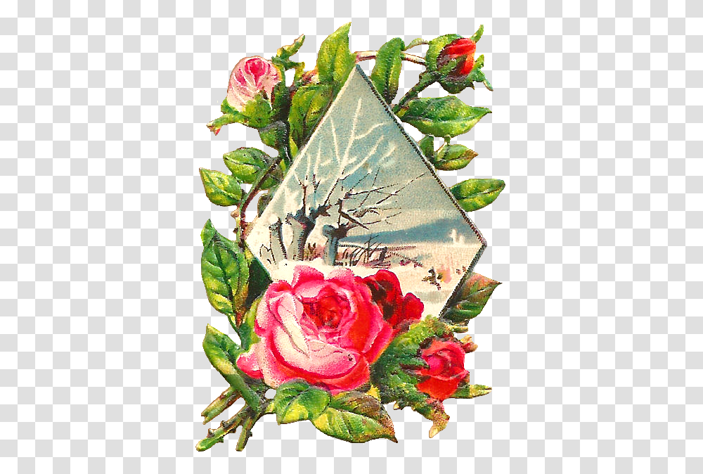 Free Snow Flower Cliparts Clip Art, Plant, Leaf, Blossom, Rose Transparent Png