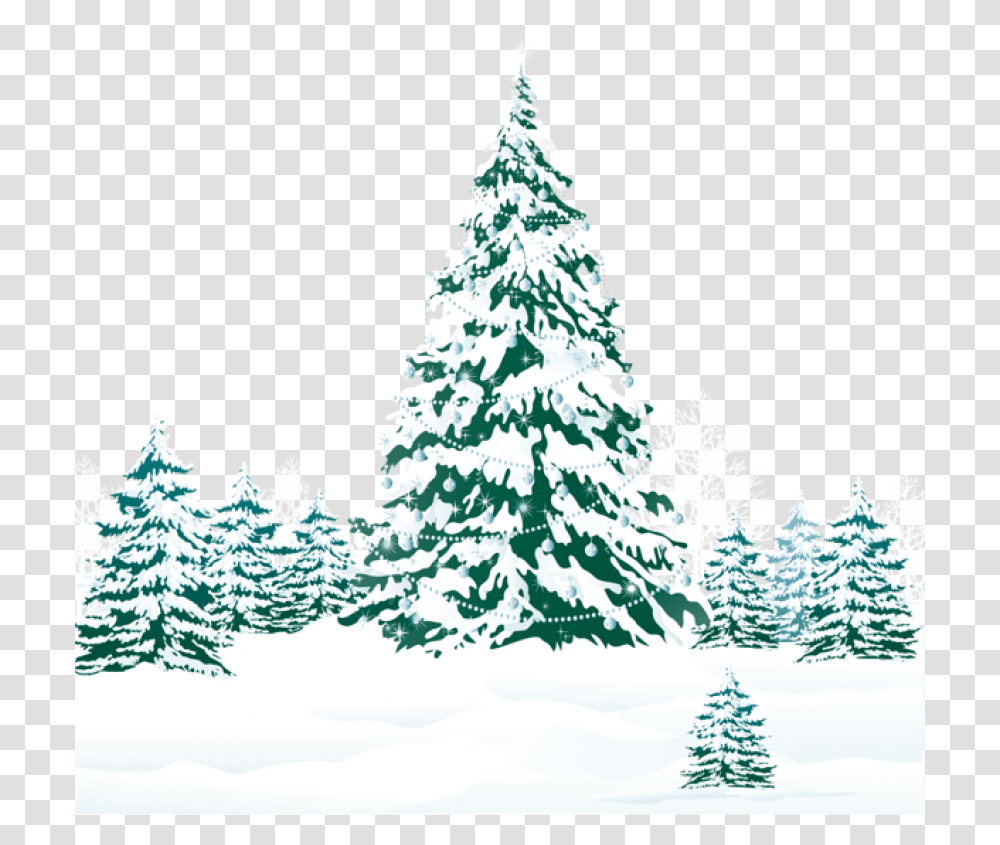 Free Snowy Winter Ground With Trees Snowy Winter Trees Clipart, Plant, Ornament, Christmas Tree, Pine Transparent Png