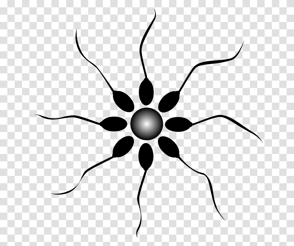 Free Sperm Vector Free Download On Heypik, Astronomy, Outer Space, Universe, Moon Transparent Png